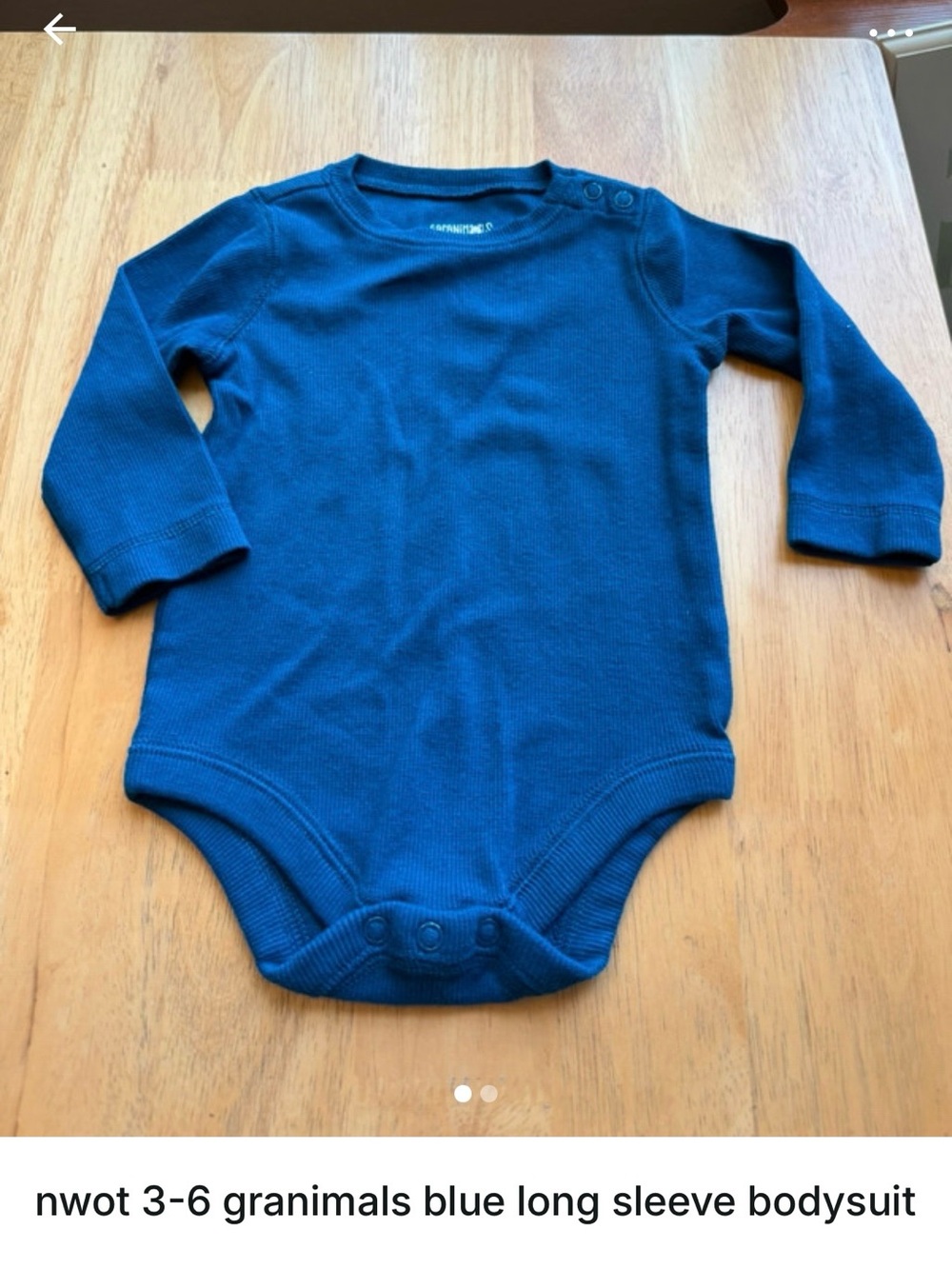 Garanimals Teal-Blue Long Sleeve Baby Bodysuit